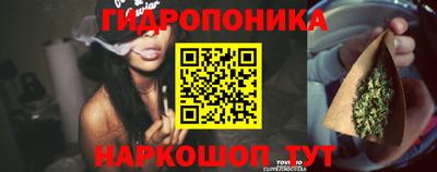 2c-b Заводоуковск
