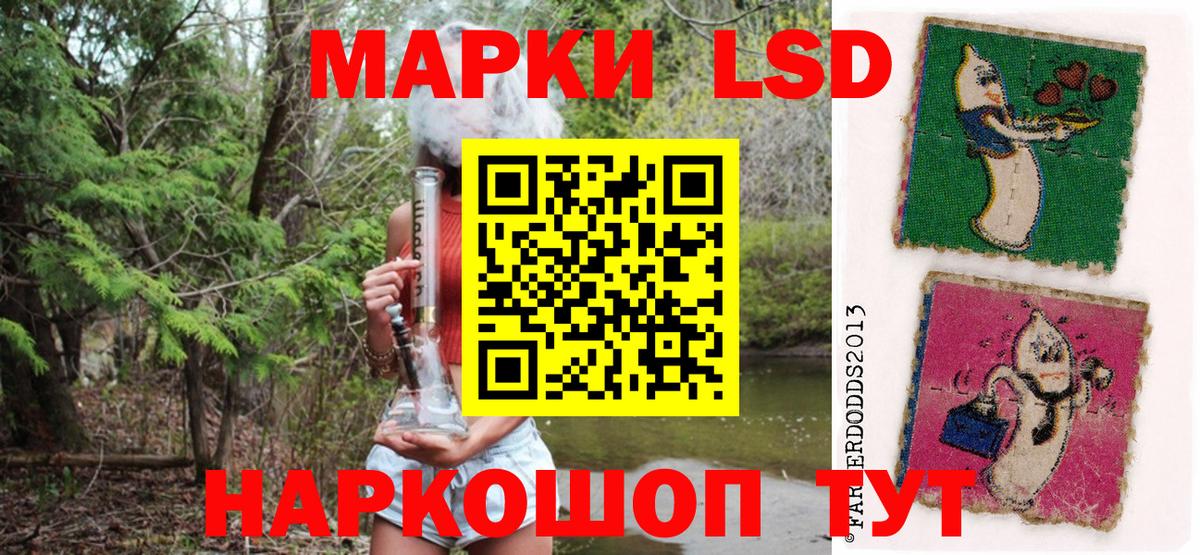 где можно купить наркотик  Вход с VPN  Марки NBOMe 1500мкг  Михайловск  Марки NBOMe 1500мкг 