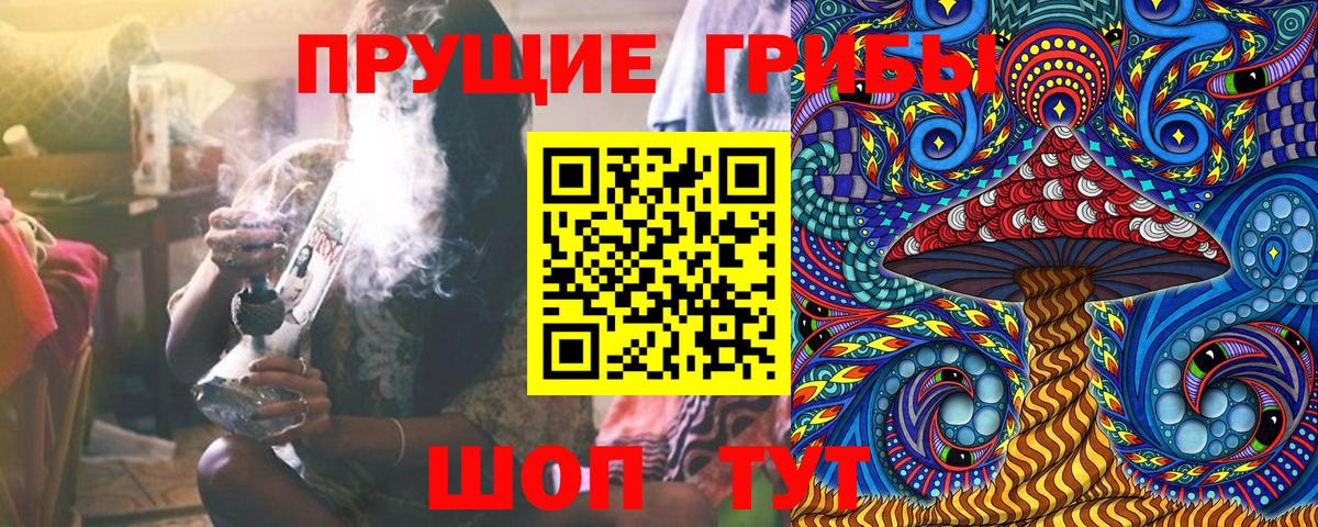 Псилоцибиновые грибы мухоморы Михайловск