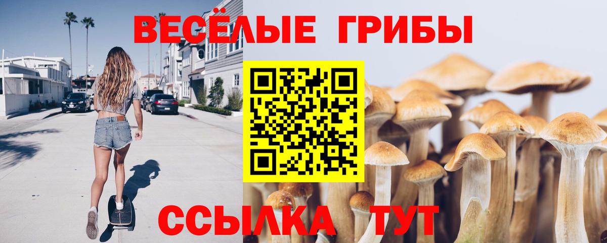 Михайловск  Псилоцибиновые грибы GOLDEN TEACHER  Вход с VPN  Галлюциногенные грибы мицелий 